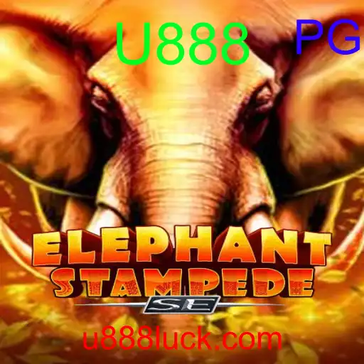 ElephantStampedeSE