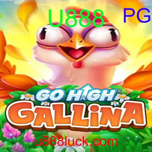 GoHighGallina