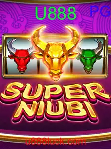 SuperNiubi